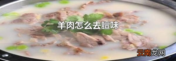 羊肉怎么去膻味