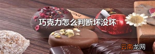 巧克力怎么判断坏没坏