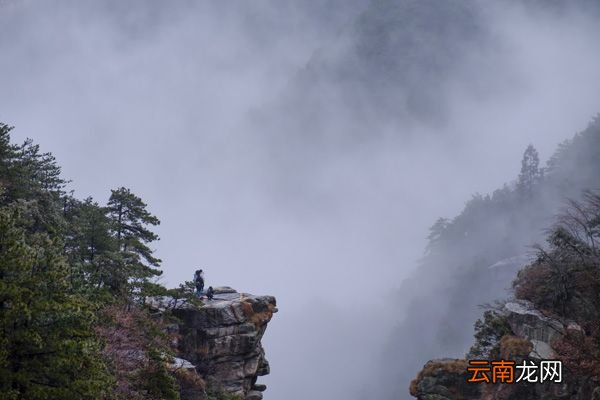 只缘身在此山中是哪首诗 只缘身在此山中的意思