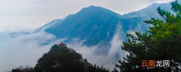 只缘身在此山中是哪首诗 只缘身在此山中的意思