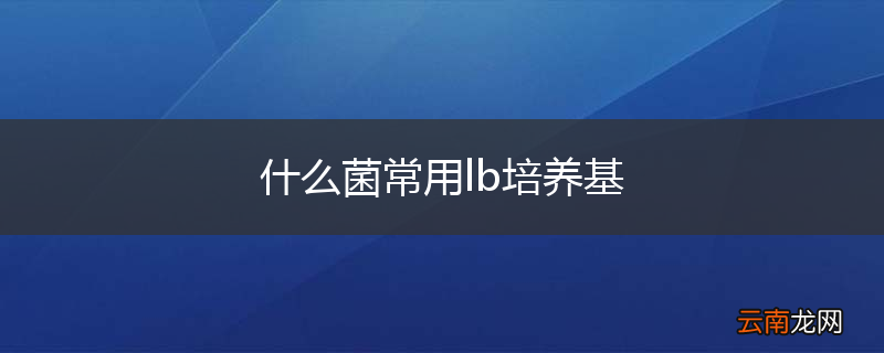 什么菌常用lb培养基