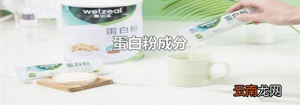 蛋白粉成分