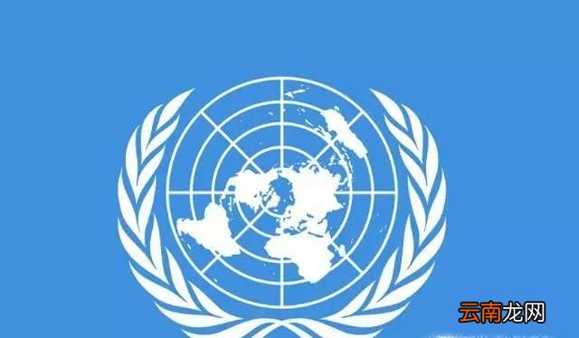 国际上几大常见的组织标志