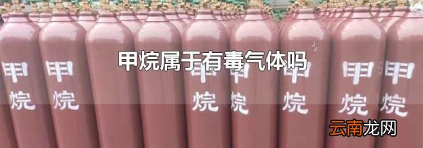 甲烷属于有毒气体吗