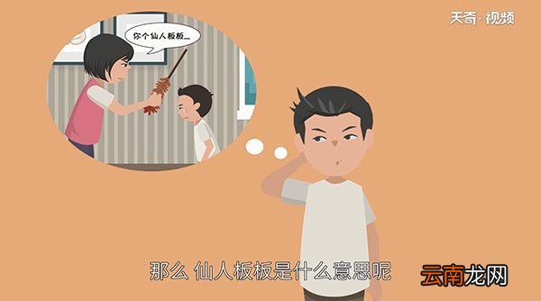 仙人板板是什么意思