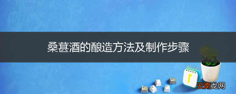 桑葚酒的酿造方法及制作步骤