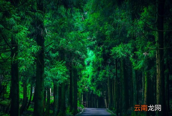 重庆周边避暑哪里好
