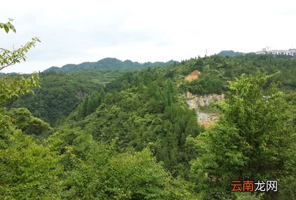 重庆周边避暑哪里好