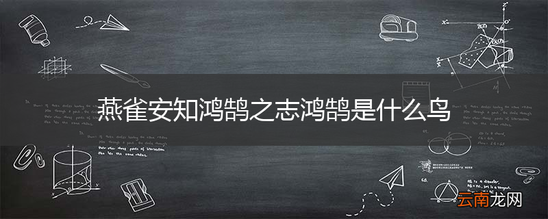 燕雀安知鸿鹄之志鸿鹄是什么鸟
