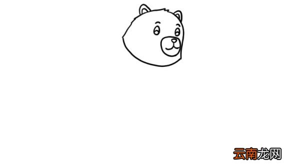 熊简笔画 熊怎么画