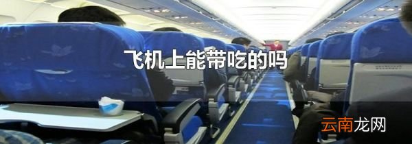 飞机上能带吃的吗