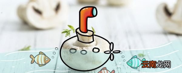 从哪种动物身上得到启发发明了潜水艇 由哪种动物上得到启发发明了潜水艇