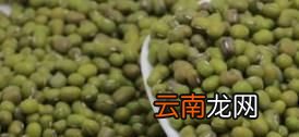 如何在家自己泡豆芽