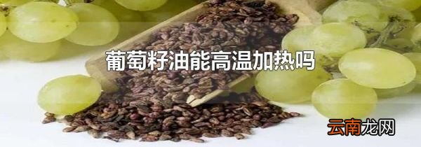 葡萄籽油能高温加热吗
