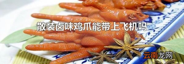 散装卤味鸡爪能带上飞机吗