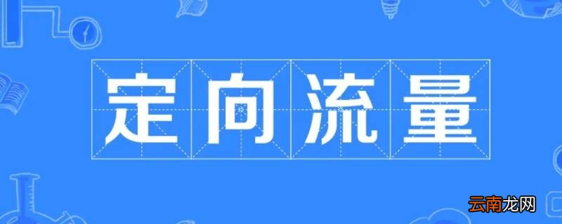 国内定向流量可以用于什么软件