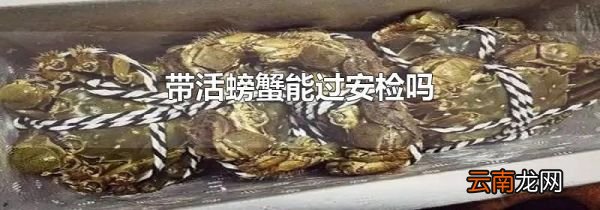 带活螃蟹能过安检吗