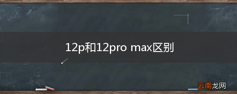 12p和12pro max区别