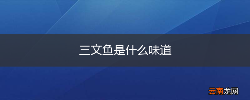 三文鱼是什么味道