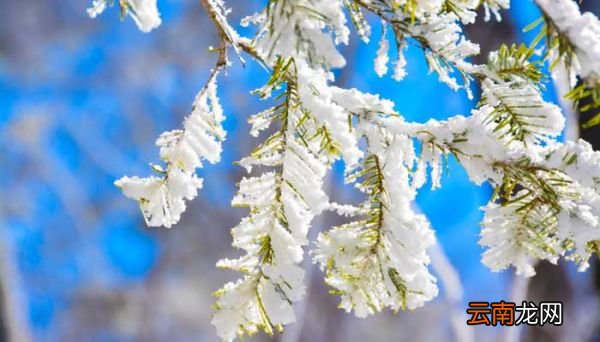 入秋第一场雪如何用诗表达 入秋第一场雪怎么用诗表达