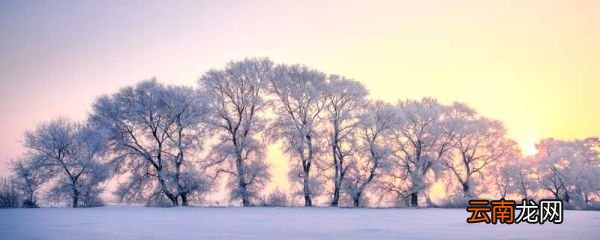 入秋第一场雪如何用诗表达 入秋第一场雪怎么用诗表达