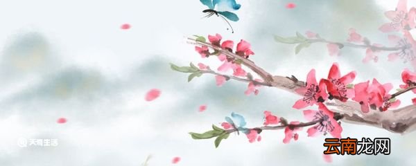 赠别表达了作者怎样的思想感情 赠别的思想感情