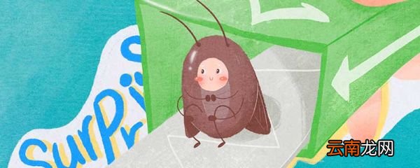 蟑螂卵怎么彻底清除 对付蟑螂卵的小妙招