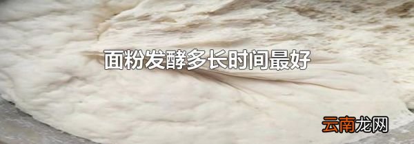 面粉发酵多长时间最好