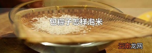 包粽子怎样泡米