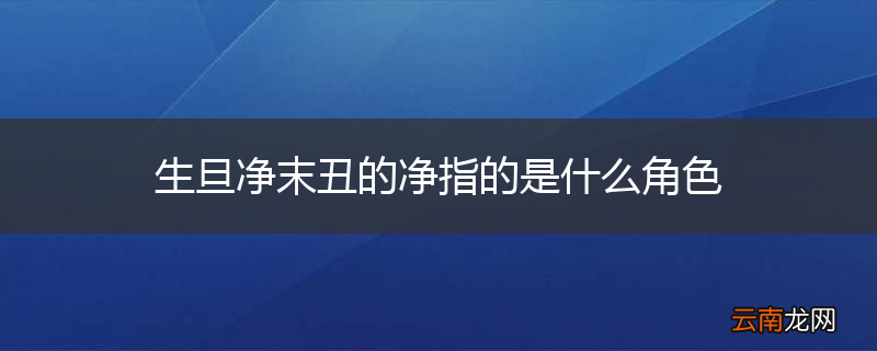 生旦净末丑的净指的是什么角色