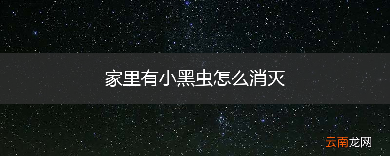 家里有小黑虫怎么消灭