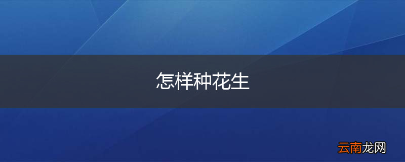怎样种花生
