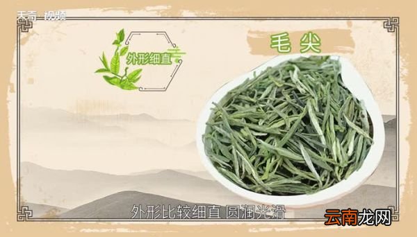 毛尖属于什么茶 毛尖属于什么档次的茶
