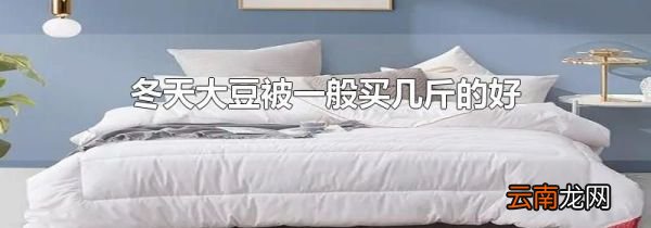 冬天大豆被一般买几斤的好