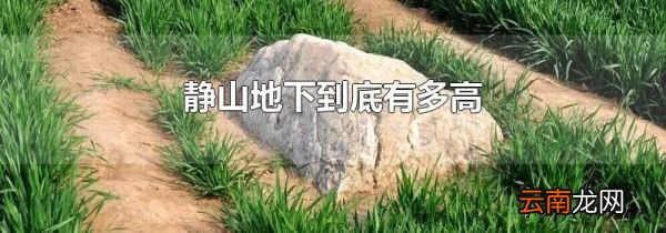 静山地下到底有多高