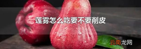 莲雾怎么吃要不要削皮