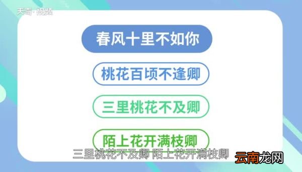 春风十里不如你下一句 “春风十里不如你”的下一句是什么