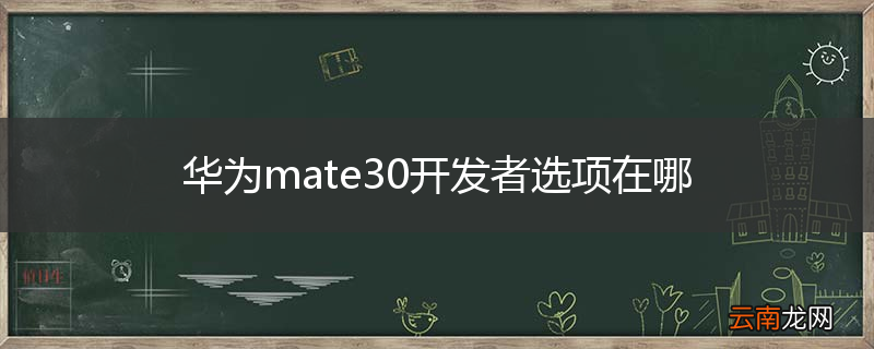 华为mate30开发者选项在哪