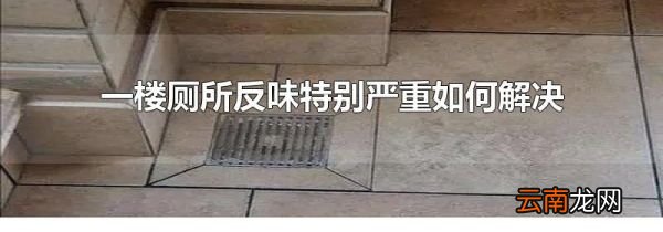 一楼厕所反味特别严重如何解决