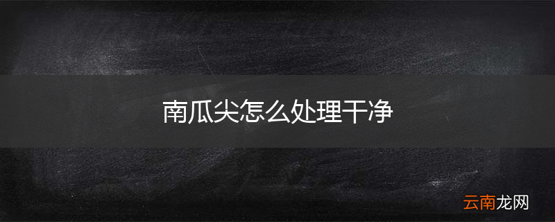南瓜尖怎么处理干净