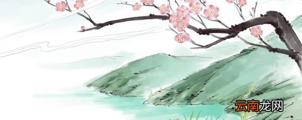早春呈水部张十八员外的意思翻译 早春呈水部张十八员意思