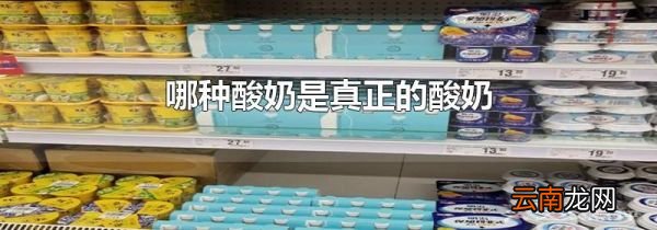 哪种酸奶是真正的酸奶