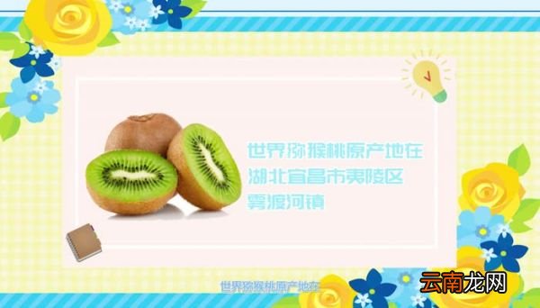 猕猴桃是热性还是凉性猕猴桃熟热性还是凉性