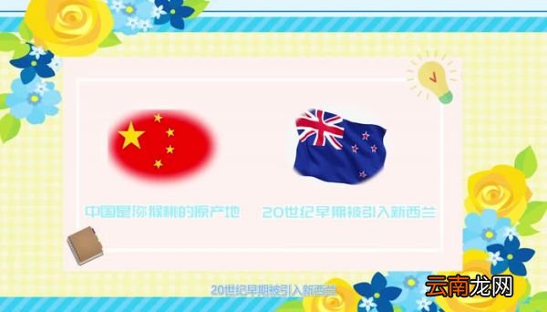 猕猴桃是热性还是凉性猕猴桃熟热性还是凉性