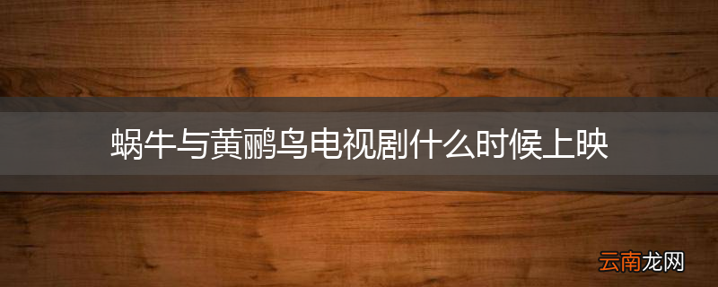 蜗牛与黄鹂鸟电视剧什么时候上映