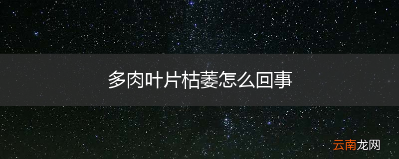 多肉叶片枯萎怎么回事