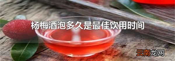 杨梅酒泡多久是最佳饮用时间