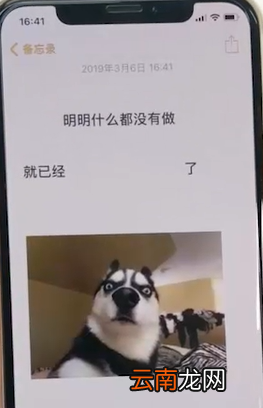 iPhone设置趣味锁屏壁纸具体操作流程