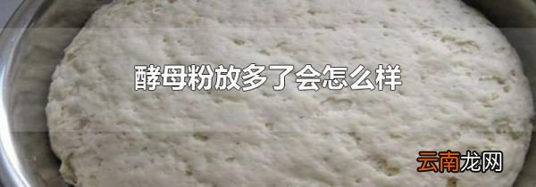 酵母粉放多了会怎么样