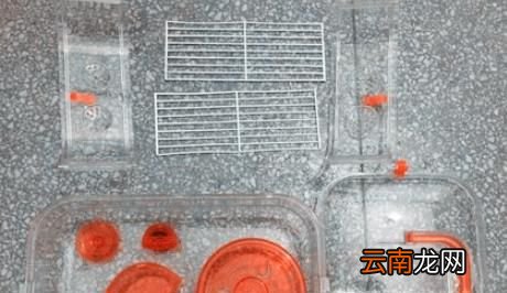 如何安装仓鼠笼子
